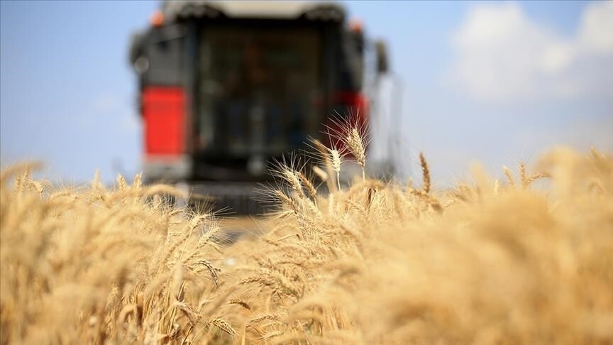 Küresel Gıda Fiyat Endeksi Temmuzda 3,5 Yılın Zirvesine Çıktı